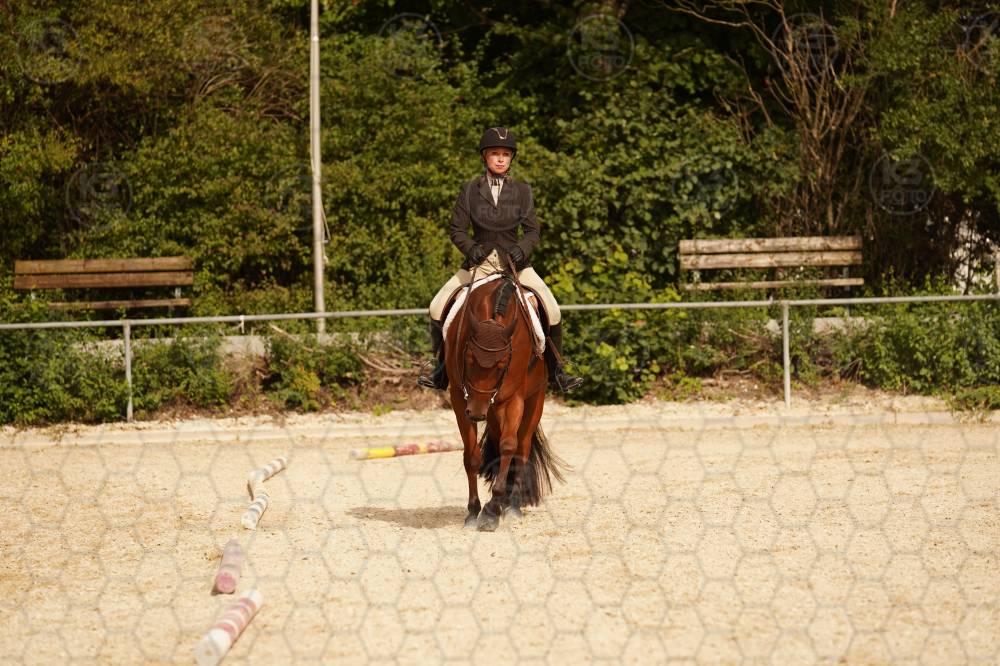 s_A9_09116.jpg